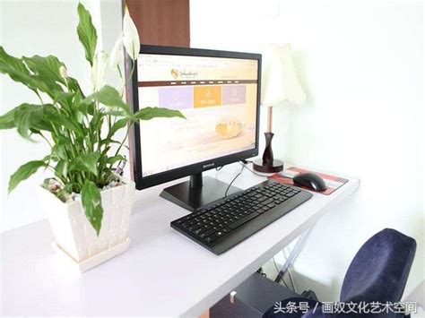 辦公桌 植物 位置 海葬 香港